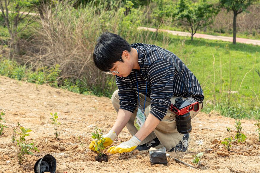 [한국관광공사] 참가자가 영덕 별파랑공원에서 진달래 묘목을 심고 있다.jpg