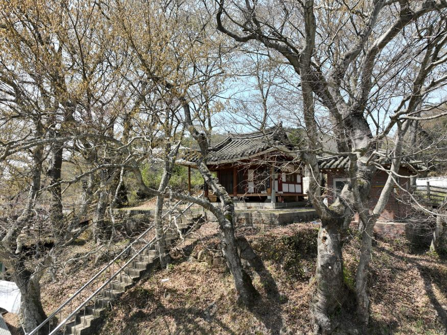 1-1. 보성군  매년 새로운 향토문화유산 발굴!_ 보성 거연정.JPG